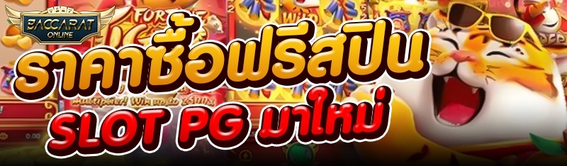 ราคาซื้อฟรีสปิน Slot PG มาใหม่